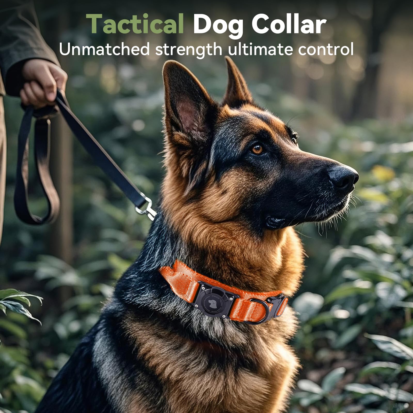 Odokele collar nylon 1000D duradero para perros activos