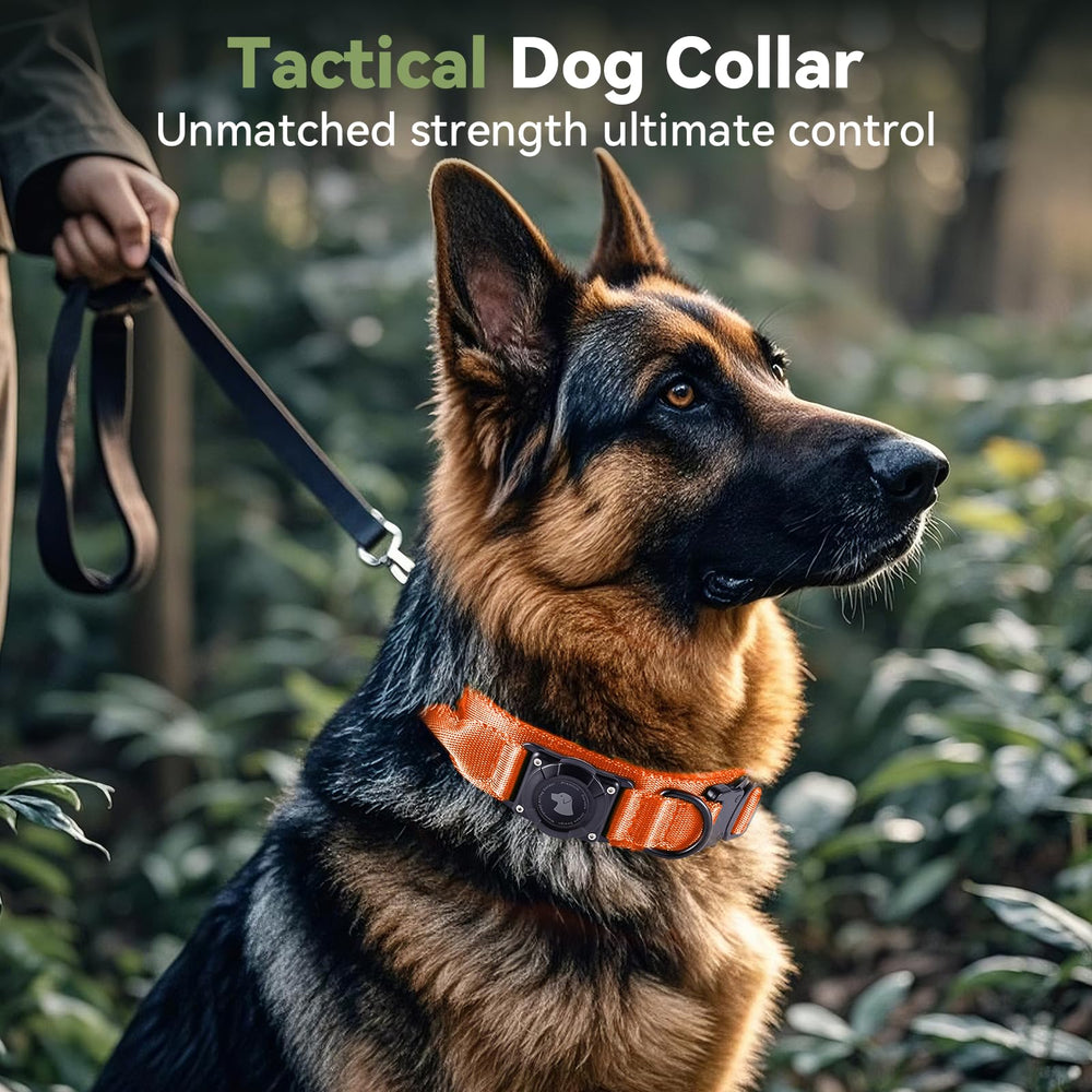 Odokele collar nylon 1000D duradero para perros activos