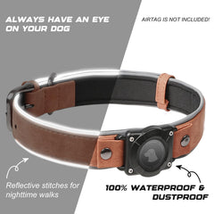 Odokele collar reflectante, seguridad en poca luz para paseos nocturnos.