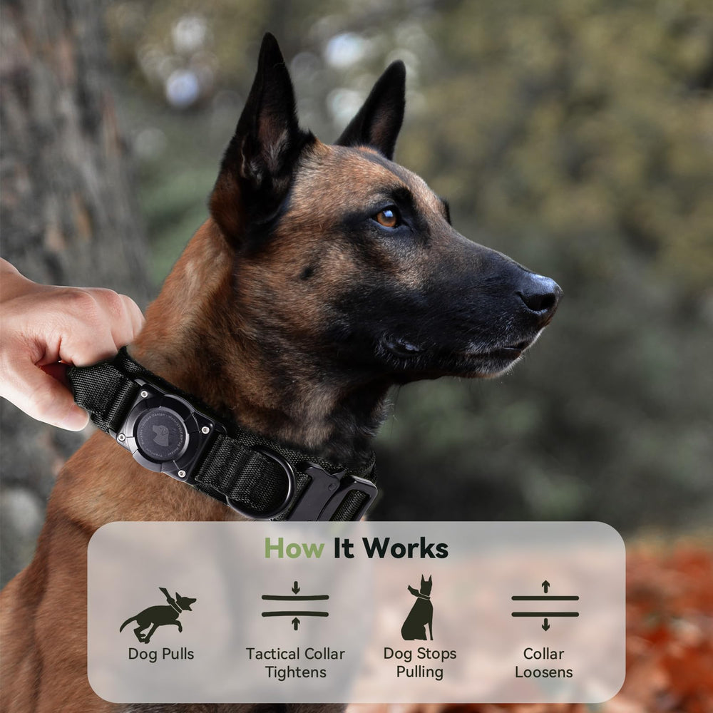 Odokele collar ofrece tallas M, L y XL para ajuste perfecto.