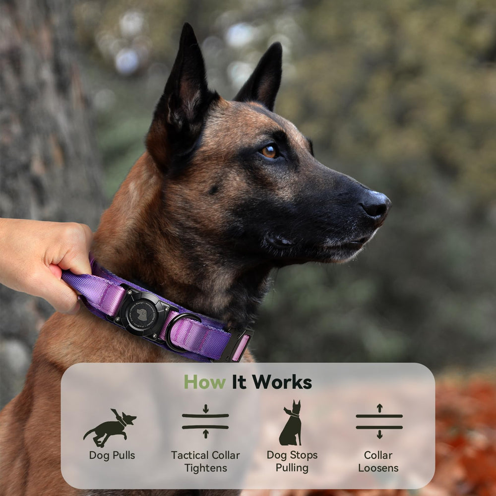 Odokele collar en tallas M a XL, ajuste perfecto para perros grandes.