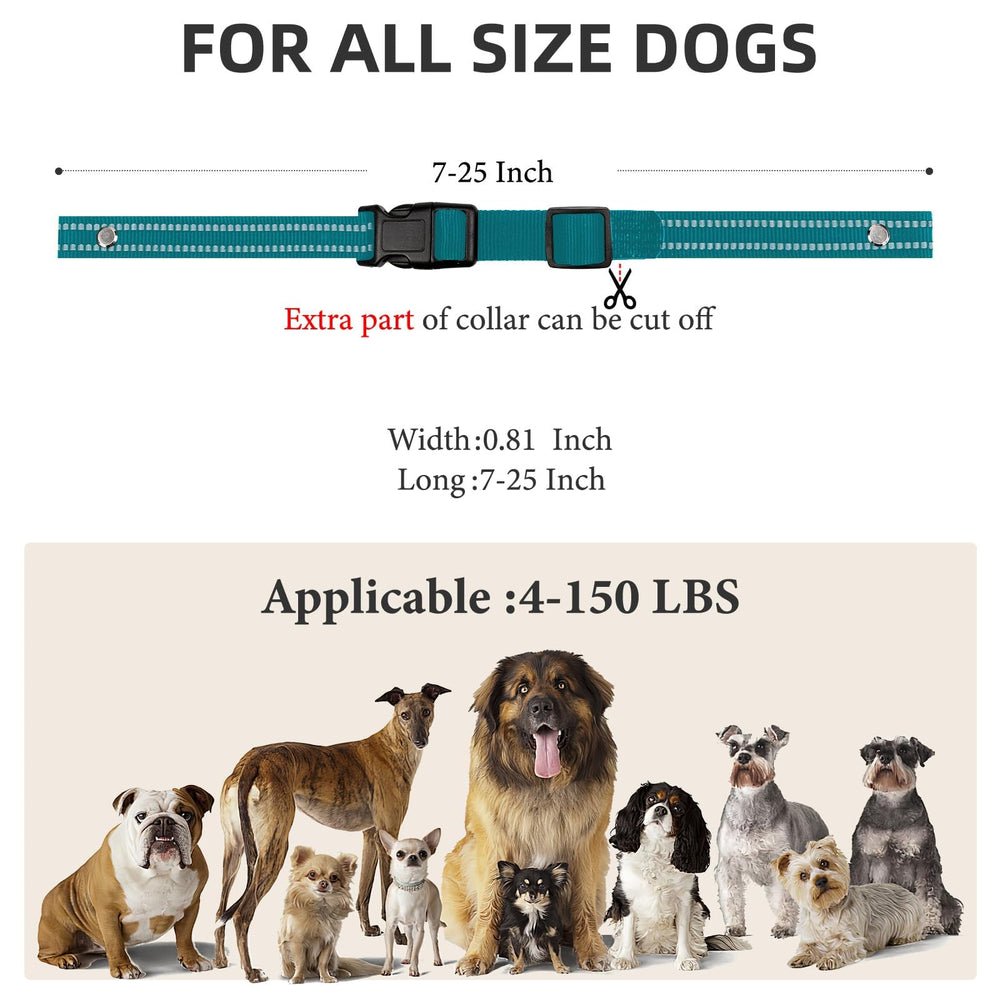 Odokele correa de compatibilidad amplia para dispositivos de entrenamiento canino.