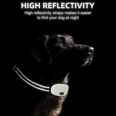 Odokele correa reflectante collar nylon negro, mejora visibilidad nocturna del perro