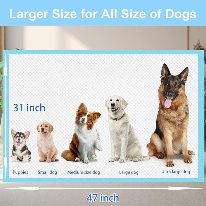 Odorless XXXXL almohadillas para entrenamiento y cuidado diario de mascotas