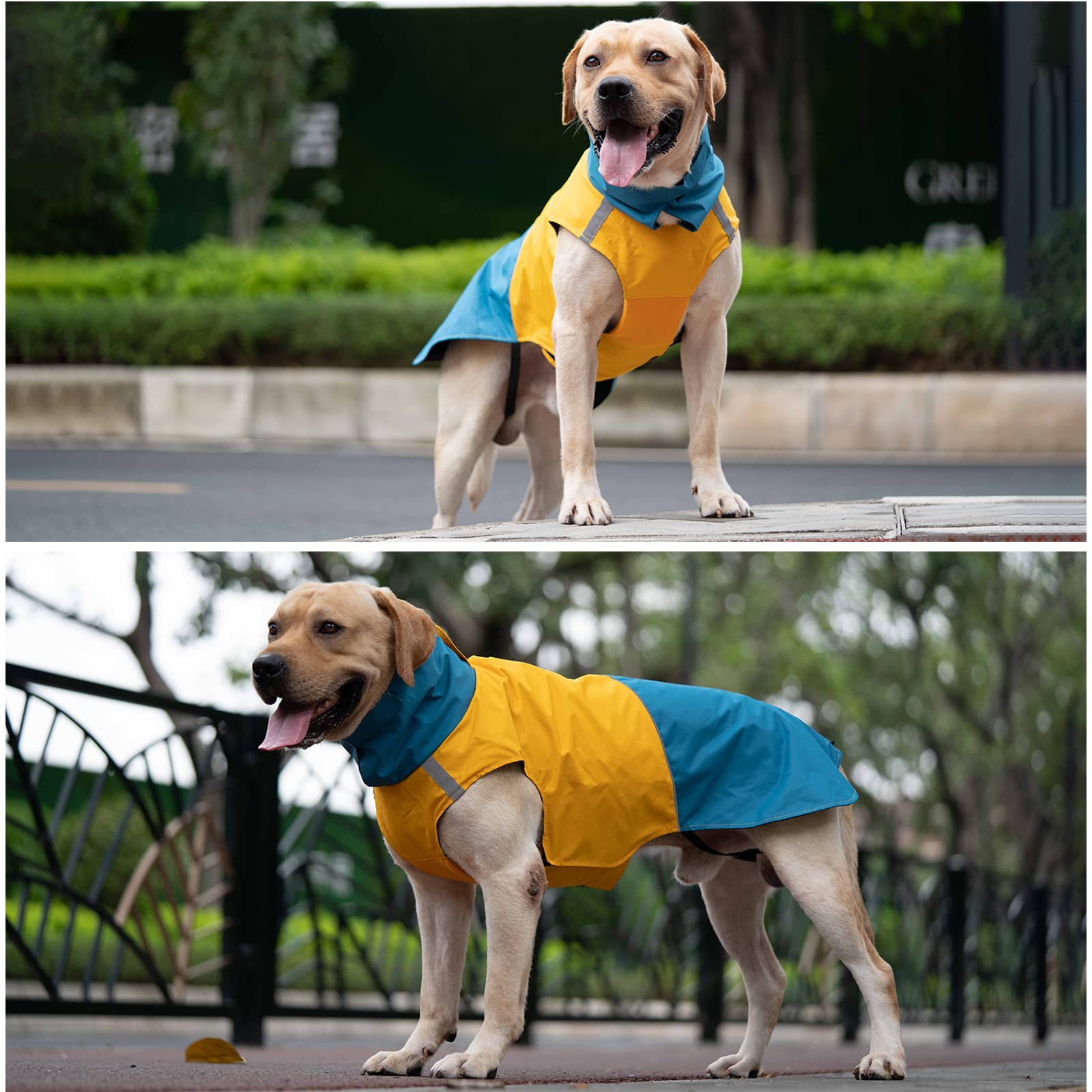 ODSSDAPU paseo nocturno seguro, abrigo para perro en condiciones de poca luz