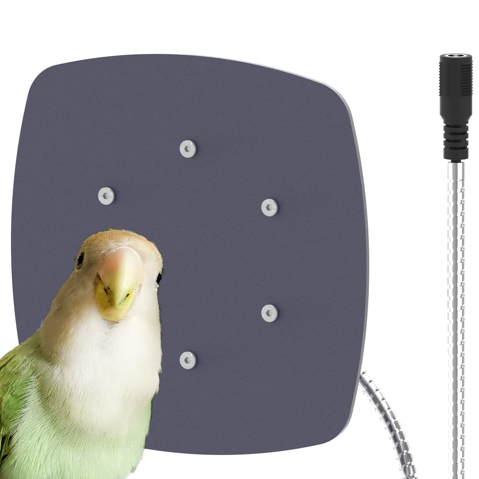 Ogioxam calentador para aves en jaula mantiene abrigadas a las aves de forma segura.
