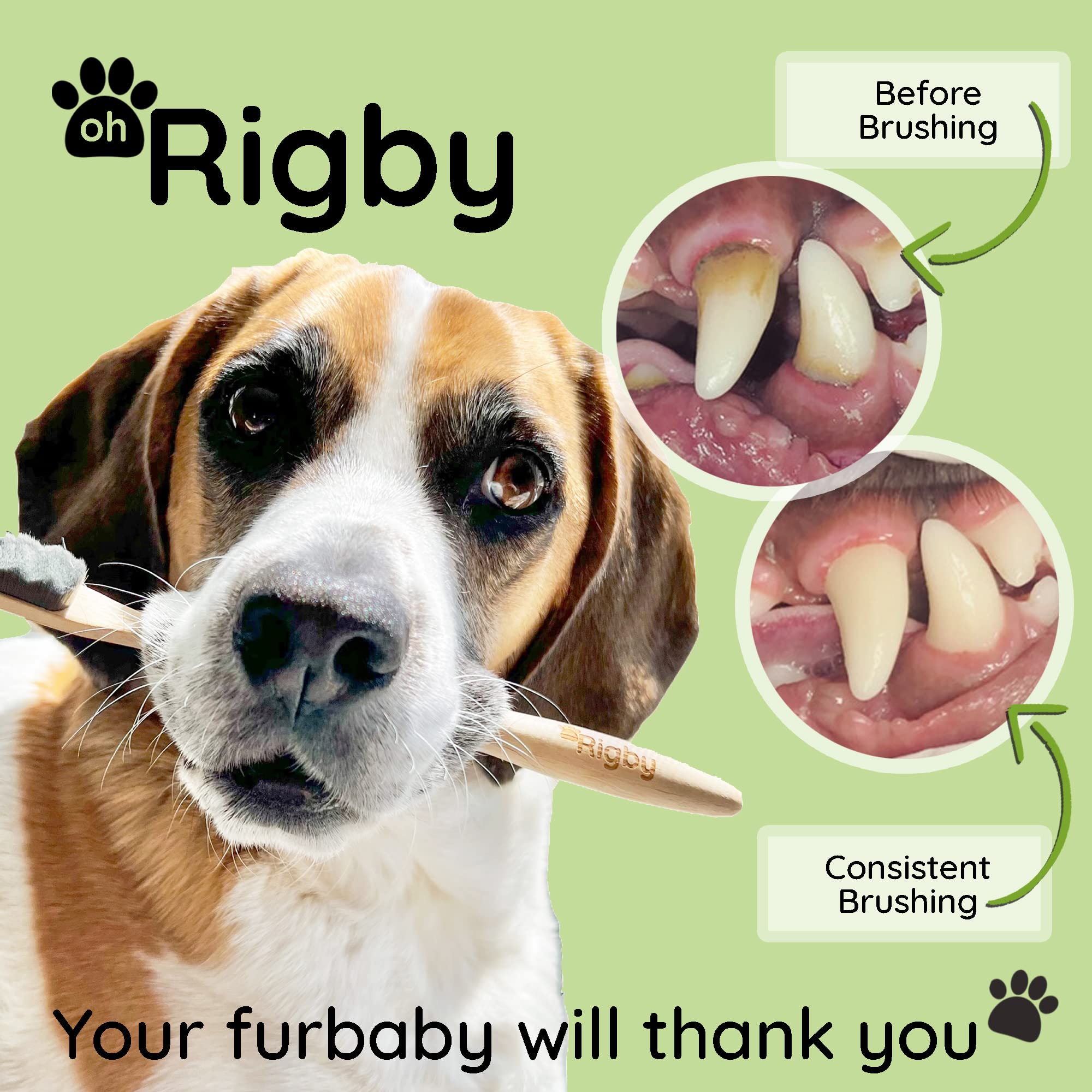 OH RIGBY base bambú biodegradable: diseño sostenible con mango cómodo y seguro.