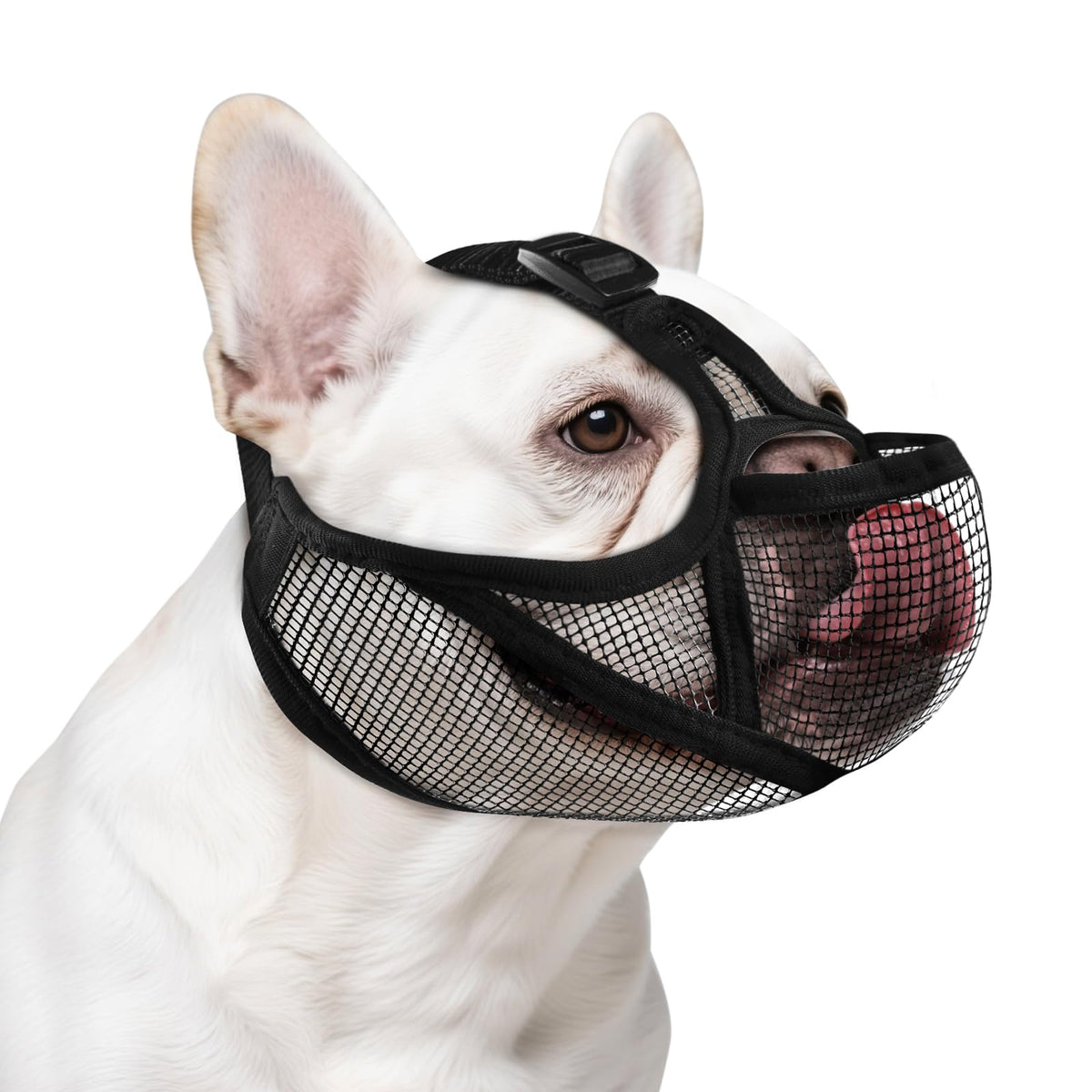 OHCOZZY bozal para francés con ajuste cómodo durante paseos.