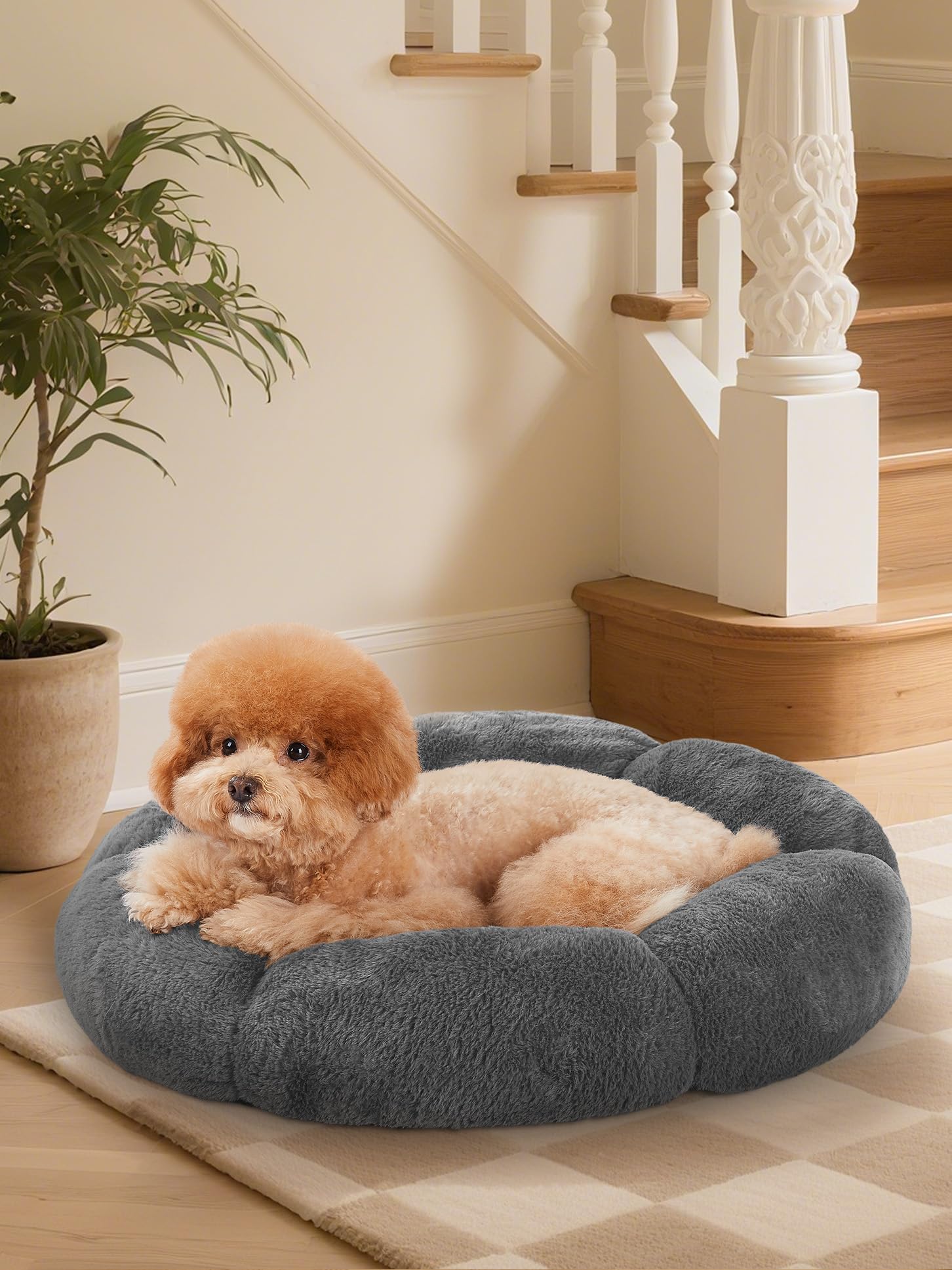 OhGeni cama donut para perros pequeños, gris oscuro, funda suave que acuna a tu mascota.