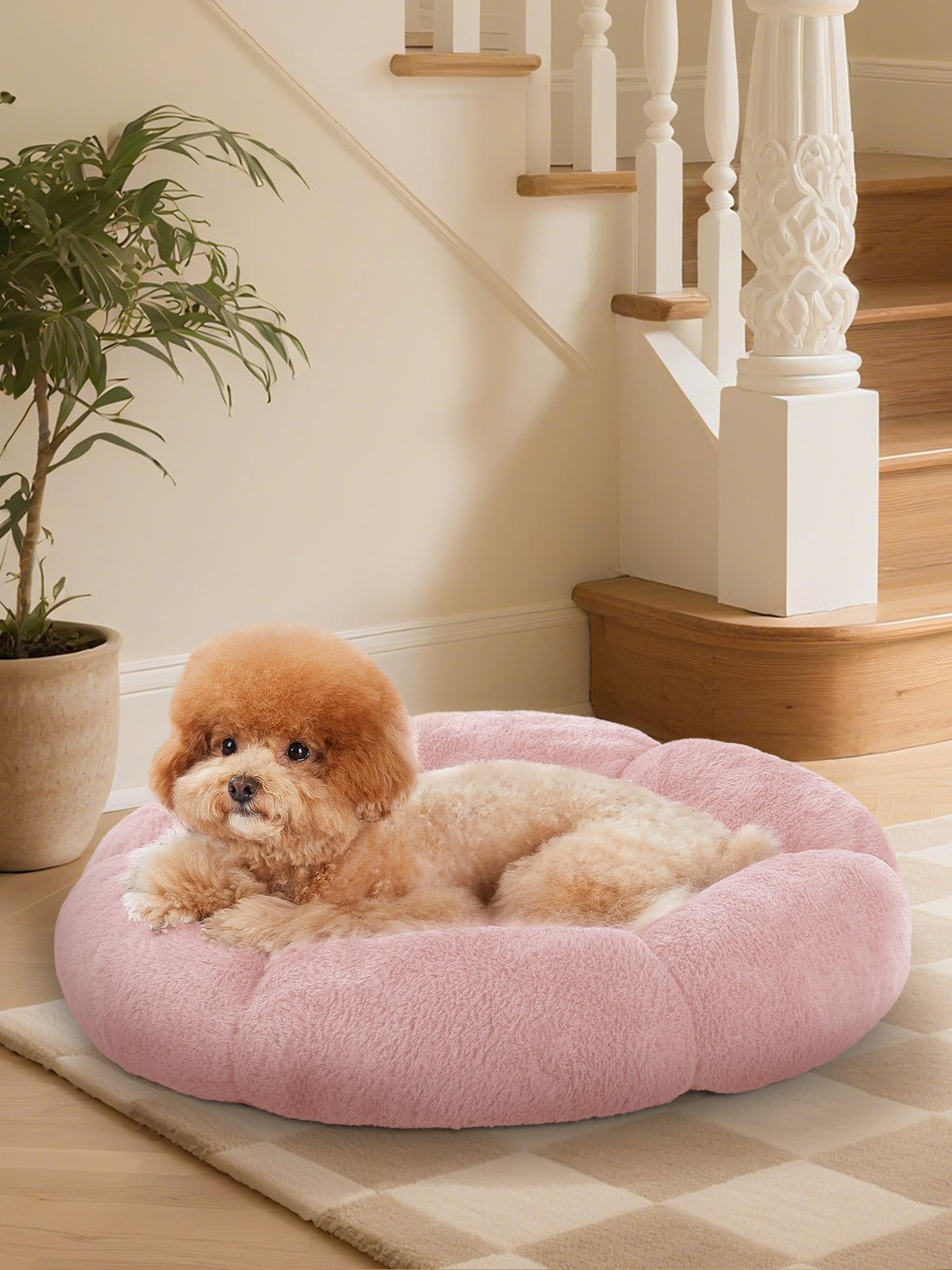 OhGeni Cama Donut rosa para mascotas pequeñas, felpa suave y segura.