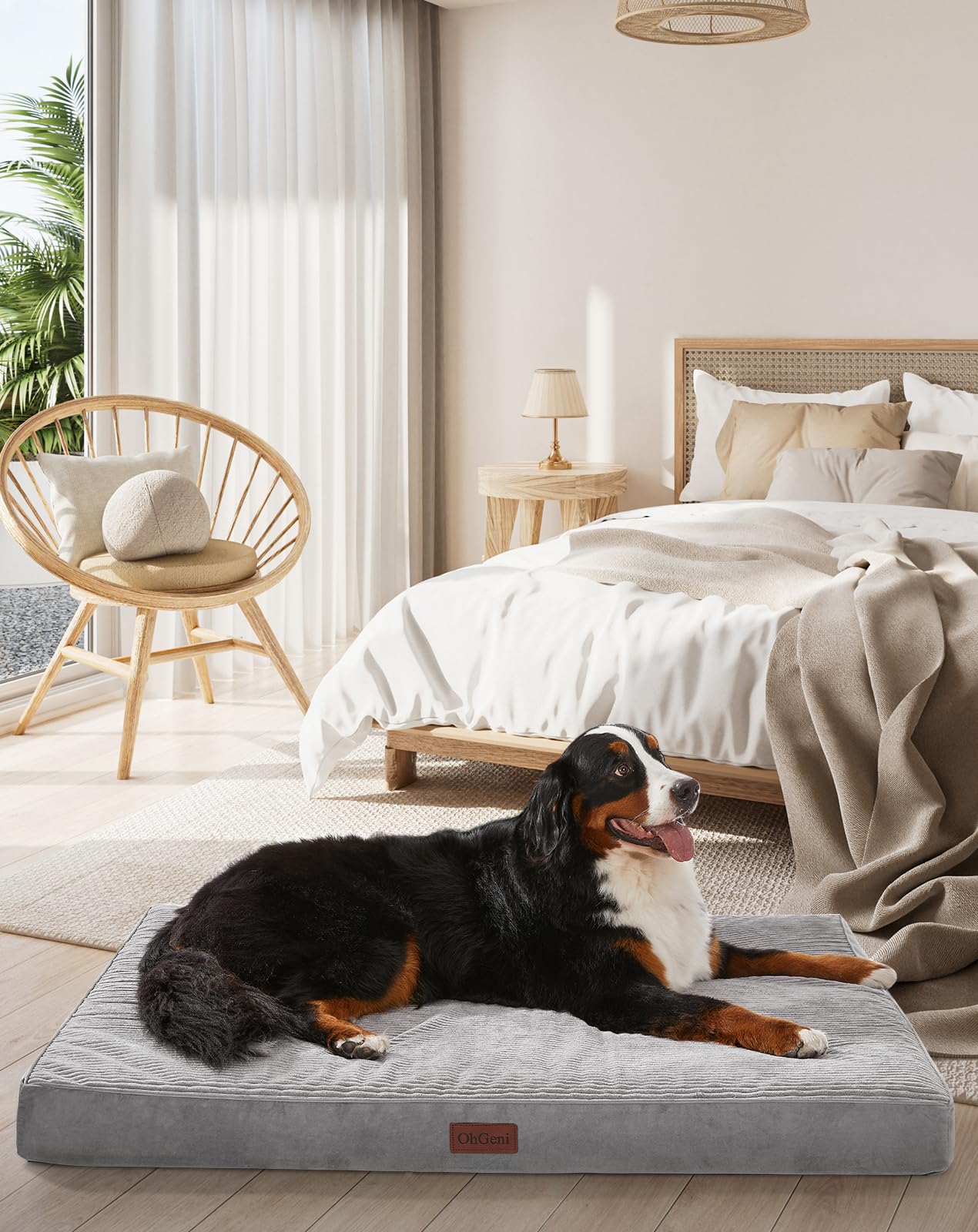 Cama ortopédica OhGeni de 54 pulgadas en gris, vista general.