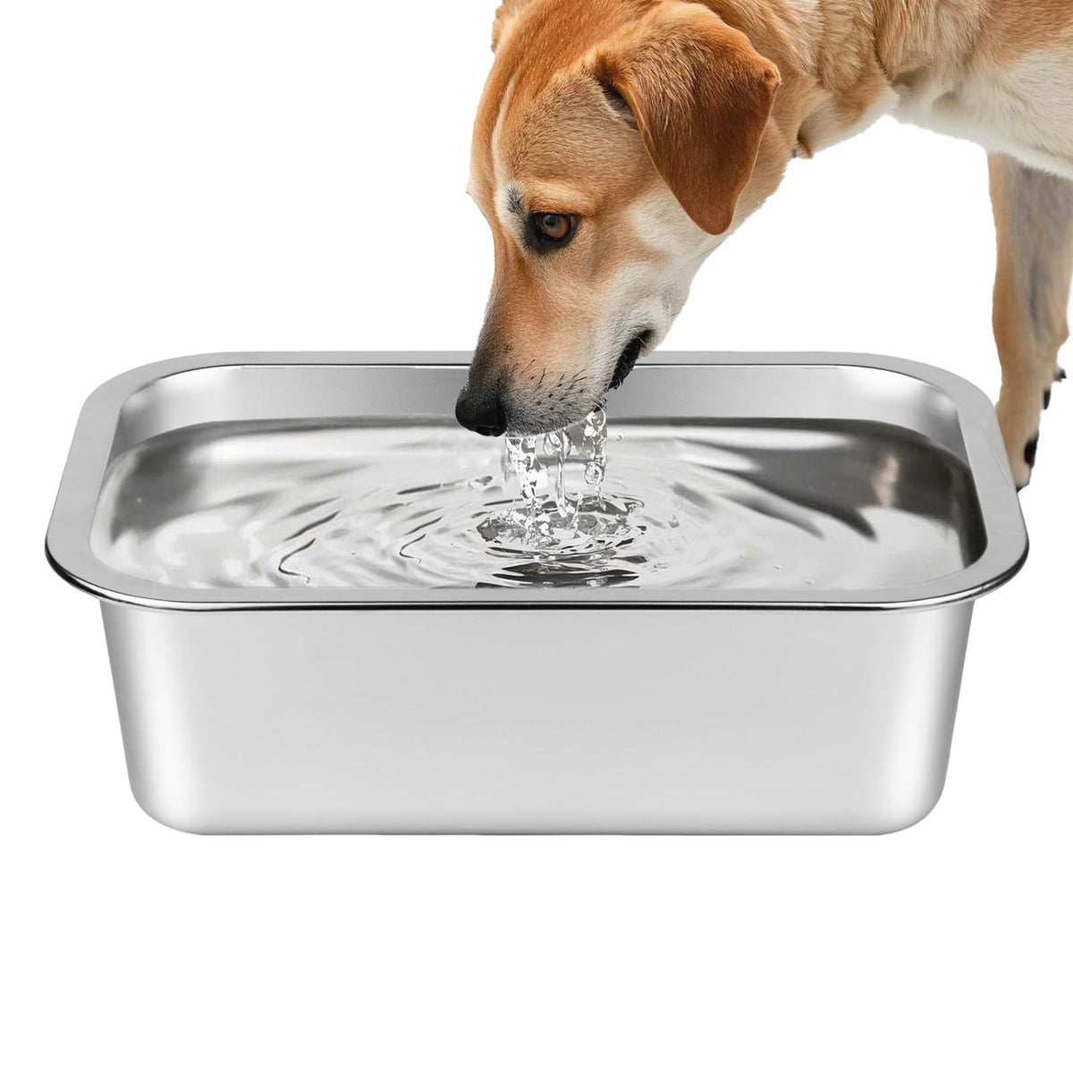 Ohtomber bol agua acero inoxidable, sin derrames, ideal para perros grandes.