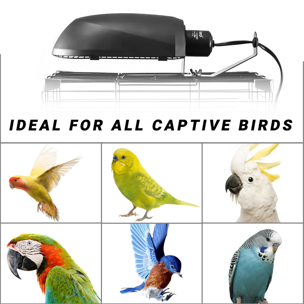 Oiibo diseño reflector optimiza la difusión de la luz para aves