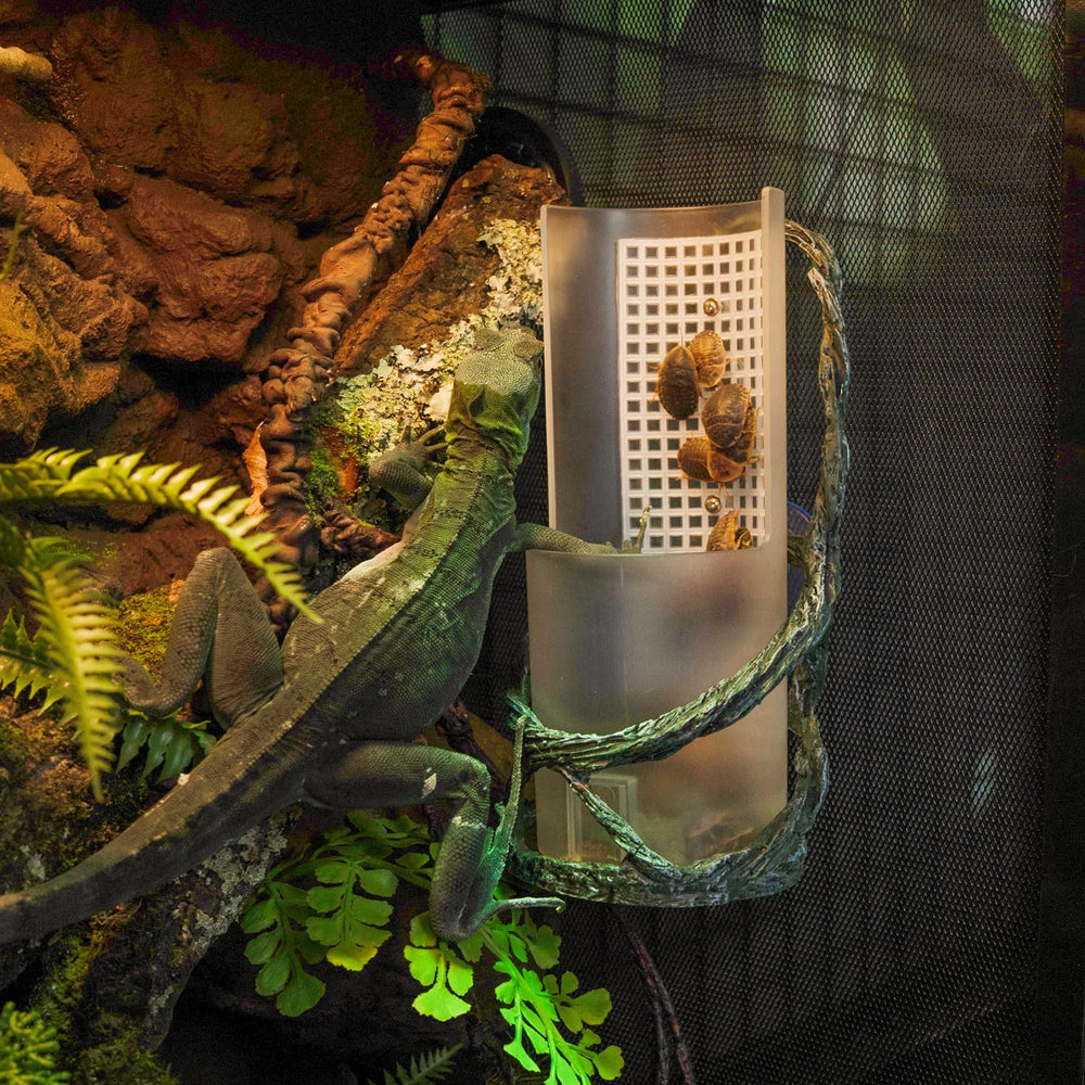 Oiibo diseño único que decora y complementa el hábitat del reptil.