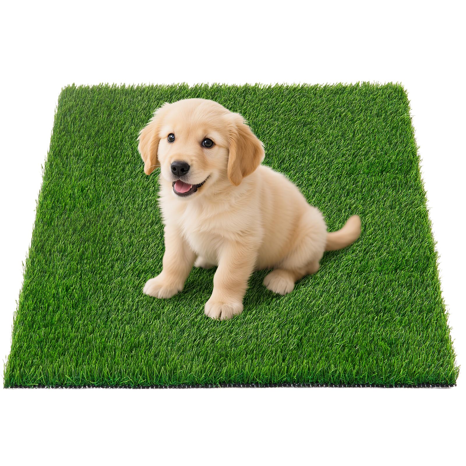 Oiyeefo alfombra cesped artificial para mascotas, ideal para entrenamiento en interiores.