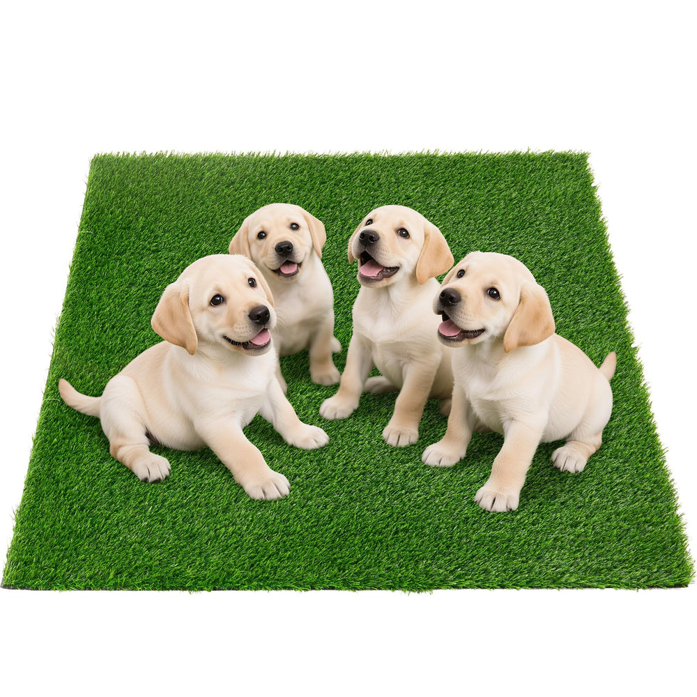 Oiyeefo césped artificial para perros grande, ideal para entrenamiento y juego interior.