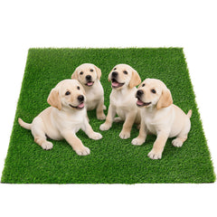 Oiyeefo césped artificial para perros grande, ideal para entrenamiento y juego interior.