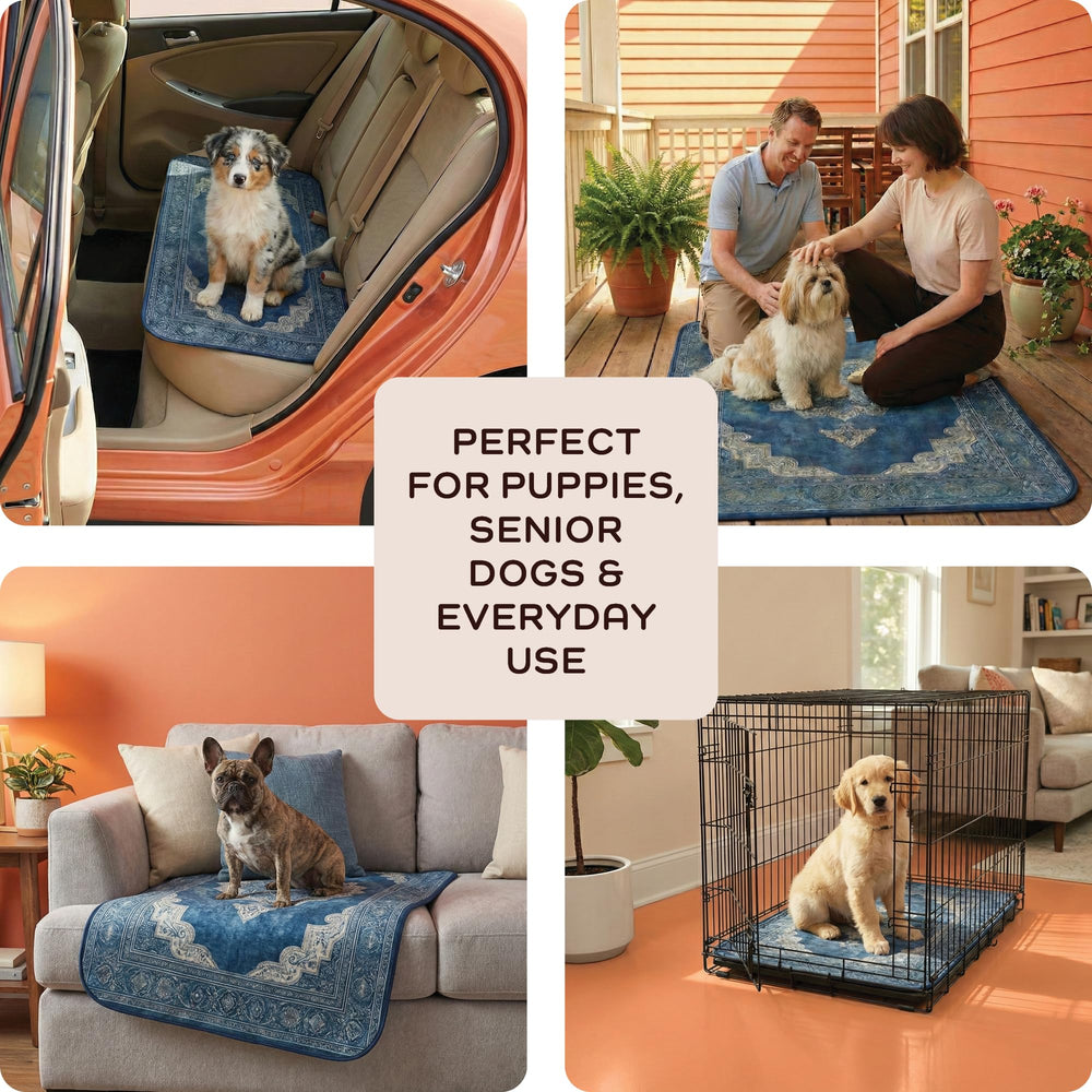 Opciones de tallas y diseños de O'JAY para perros.