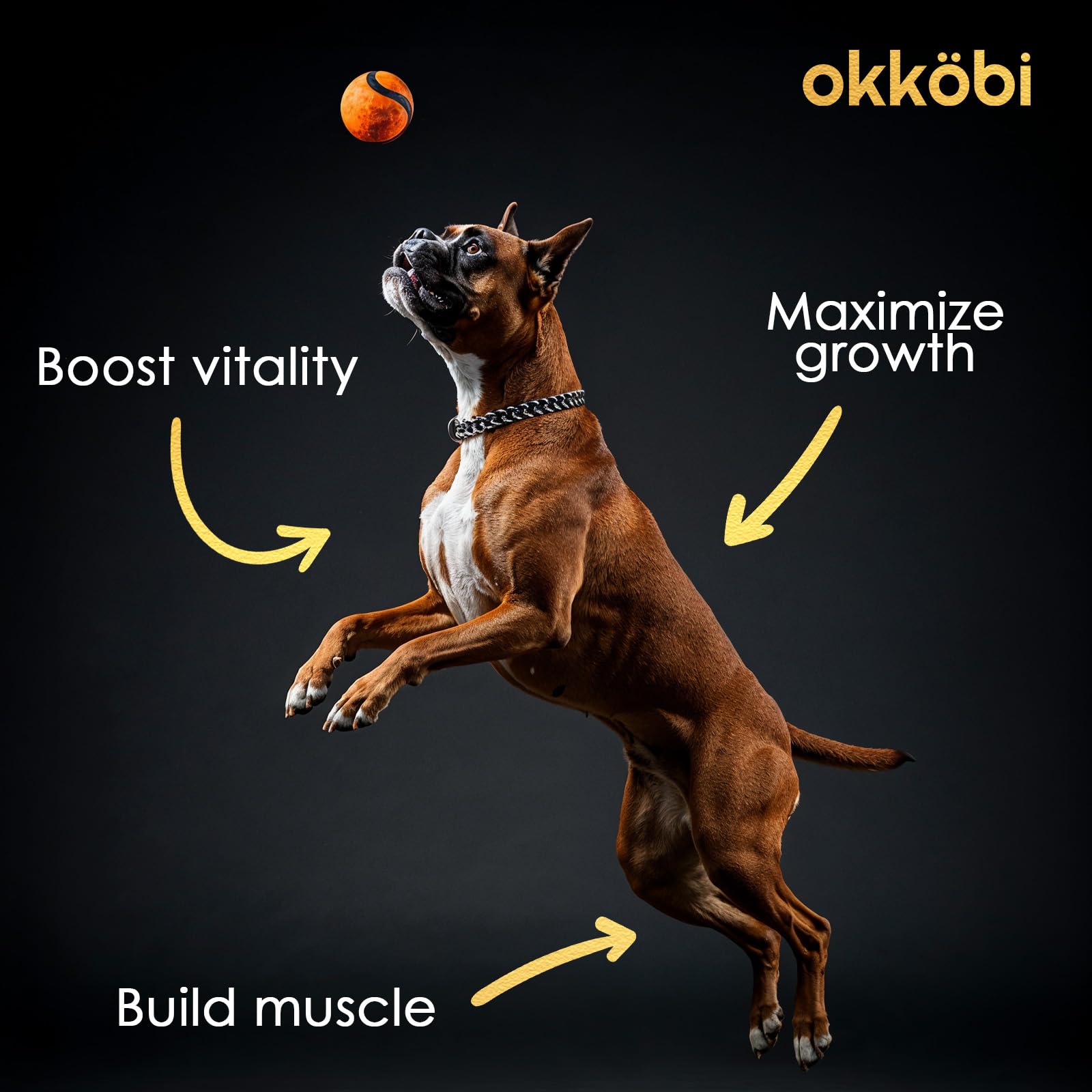 OKKÖBI 11-en-1 masticables: sabor irresistible para una suplementación fácil.