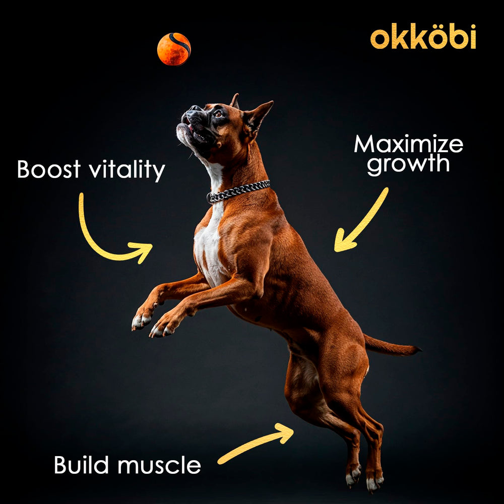 OKKÖBI 11-en-1 masticables: sabor irresistible para una suplementación fácil.