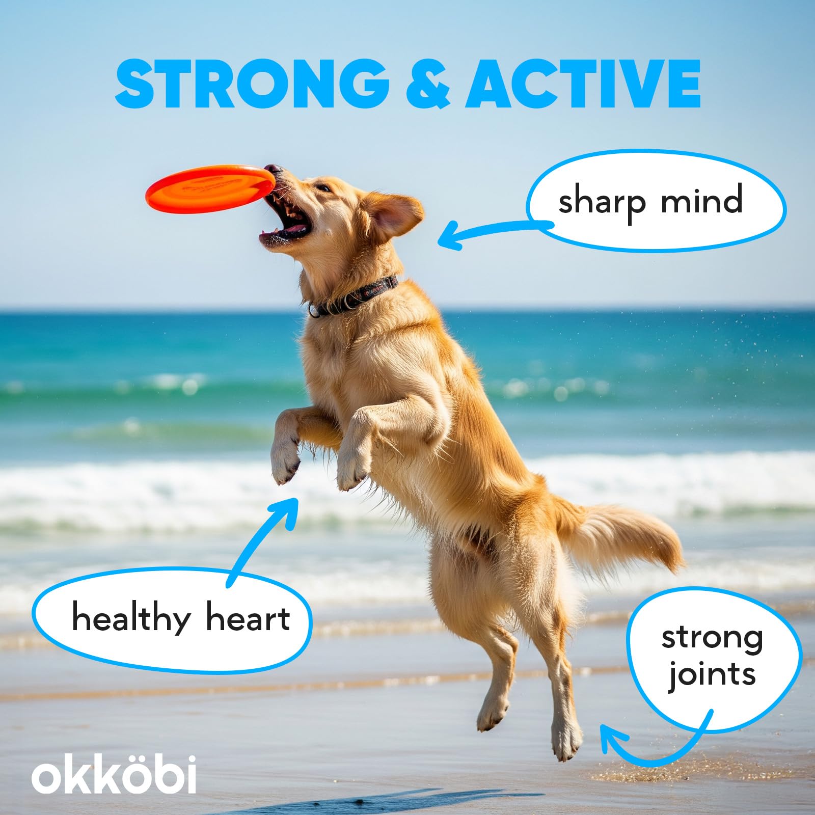 OKKÖBI aceite de salmón Alaska apto para gatos, perros y otros pequeños.