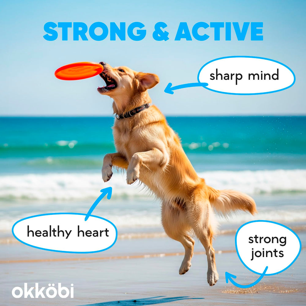 OKKÖBI aceite de salmón Alaska apto para gatos, perros y otros pequeños.
