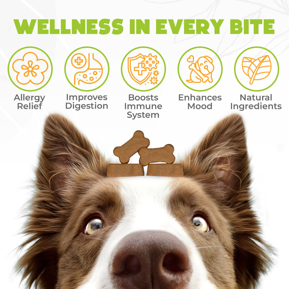 OKKÖBI Alergia para perros: primer plano de ingredientes naturales para apoyo digestivo.