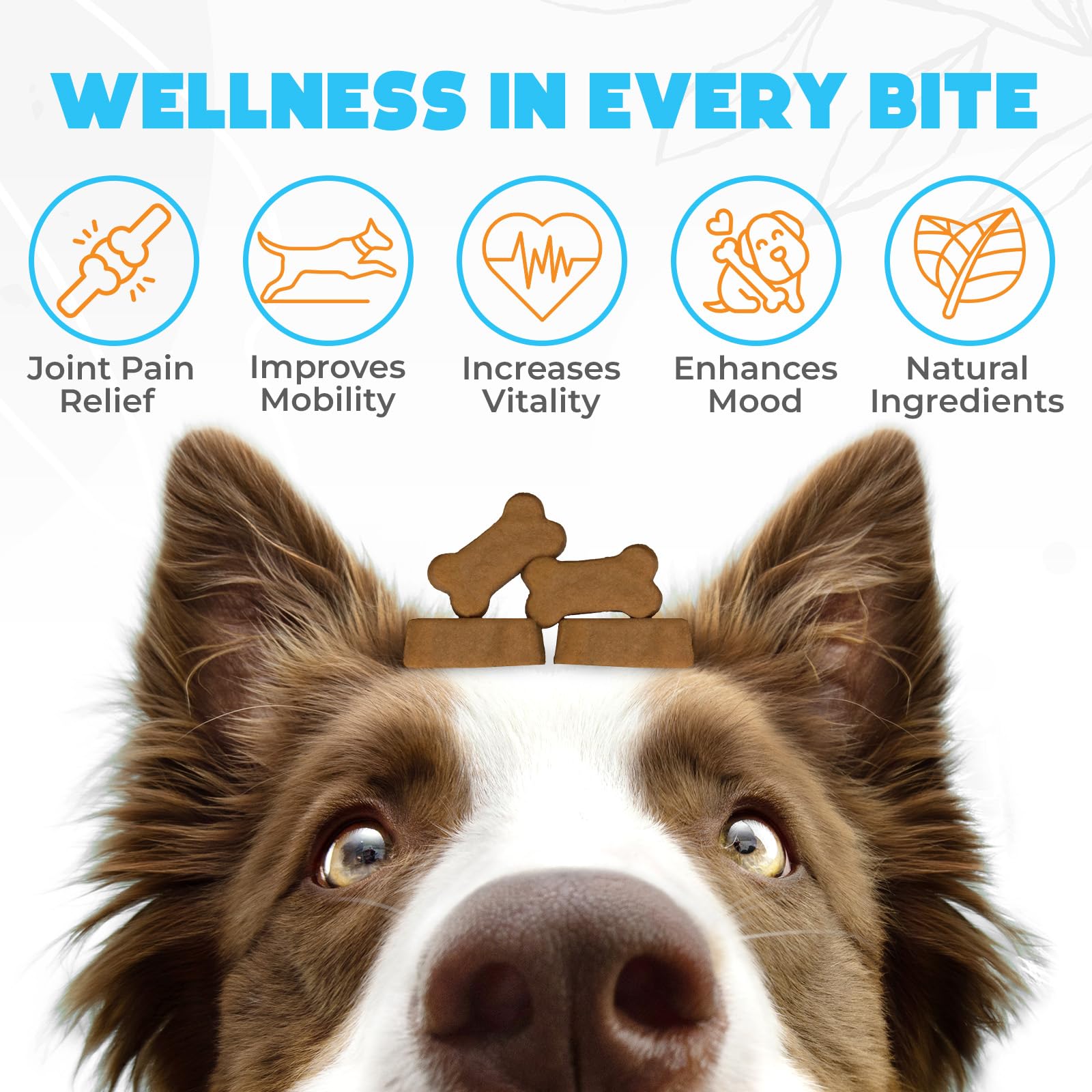 OKKÖBI Glucosamina HCL masticables sabor carne para perros