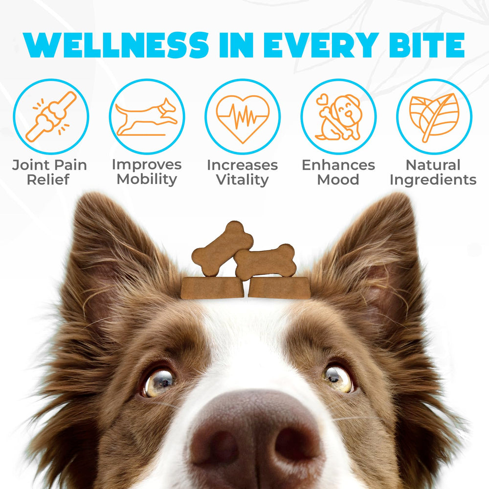 OKKÖBI Glucosamina HCL masticables sabor carne para perros