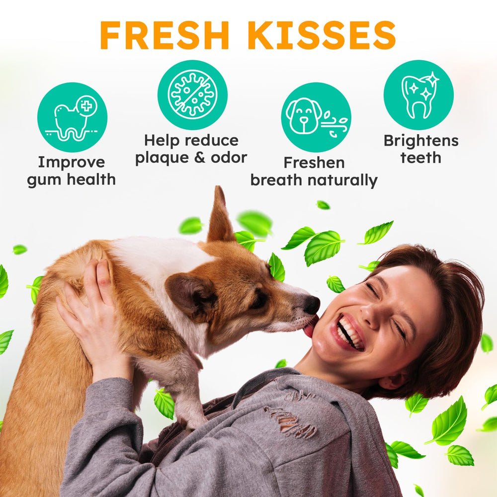 OKKÖBI Polvo dental para perros aliento fresco gracias a la menta.