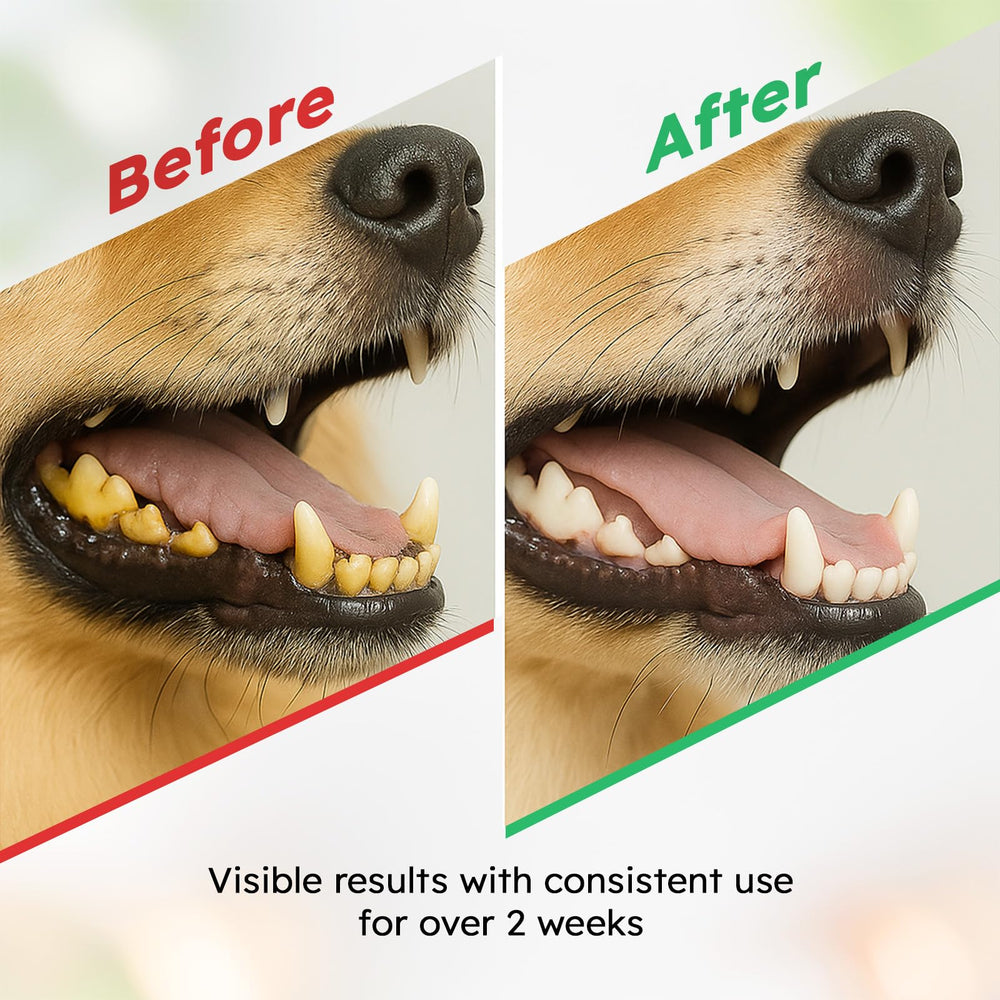 OKKÖBI Polvo dental para perros cuidado dental natural y suave.