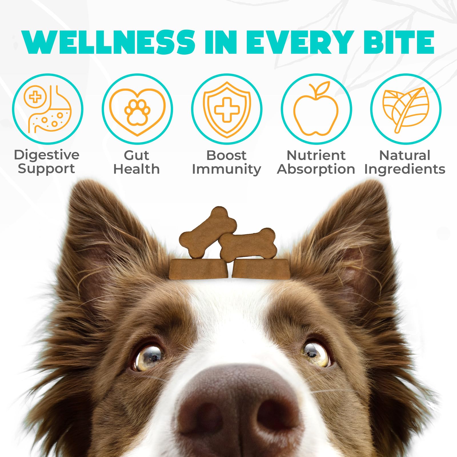 OKKÖBI Probiotics para perros, perro masticando, sabor delicioso facilita la toma