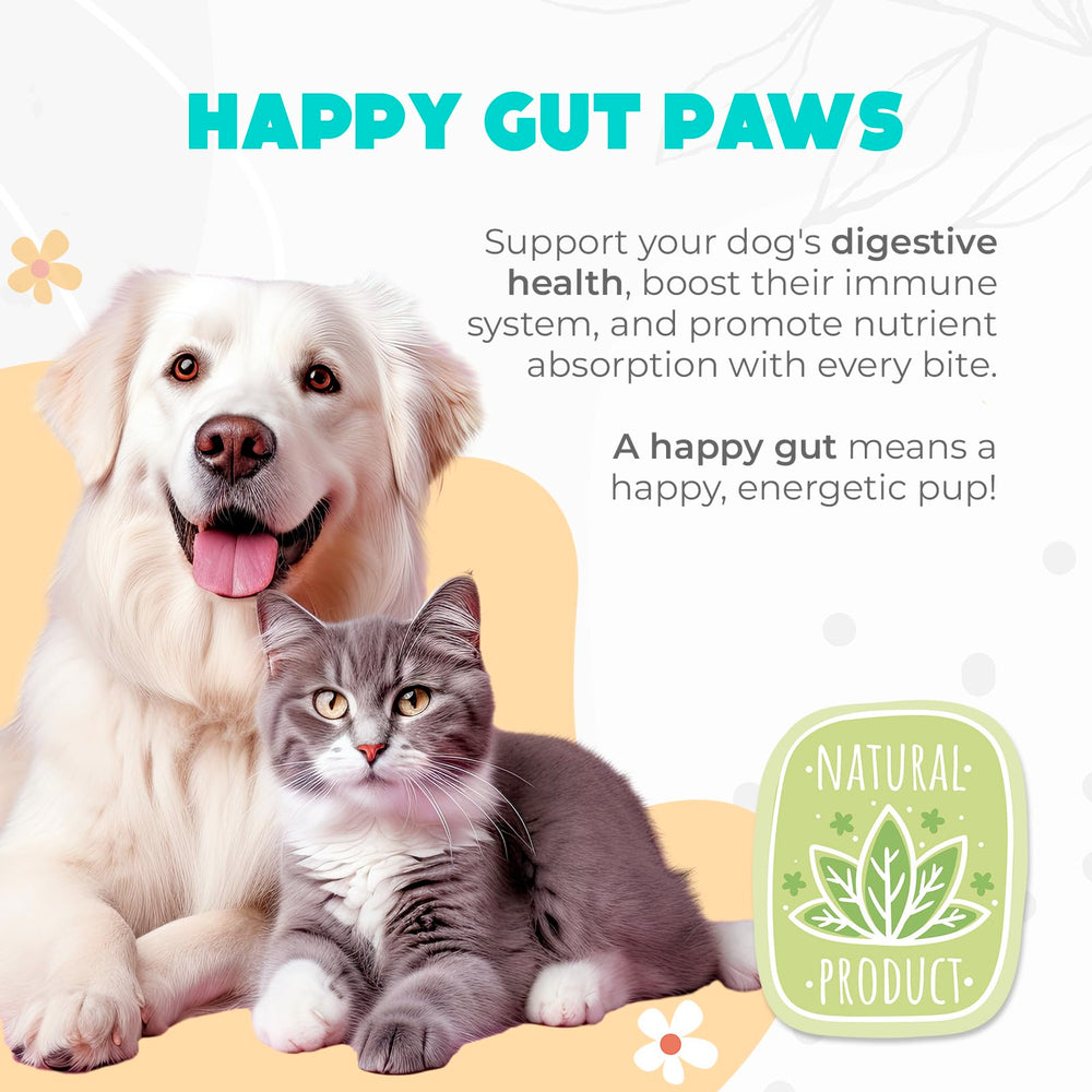 OKKÖBI Probiotics para perros, sabor calabaza, apoyo digestivo agradable