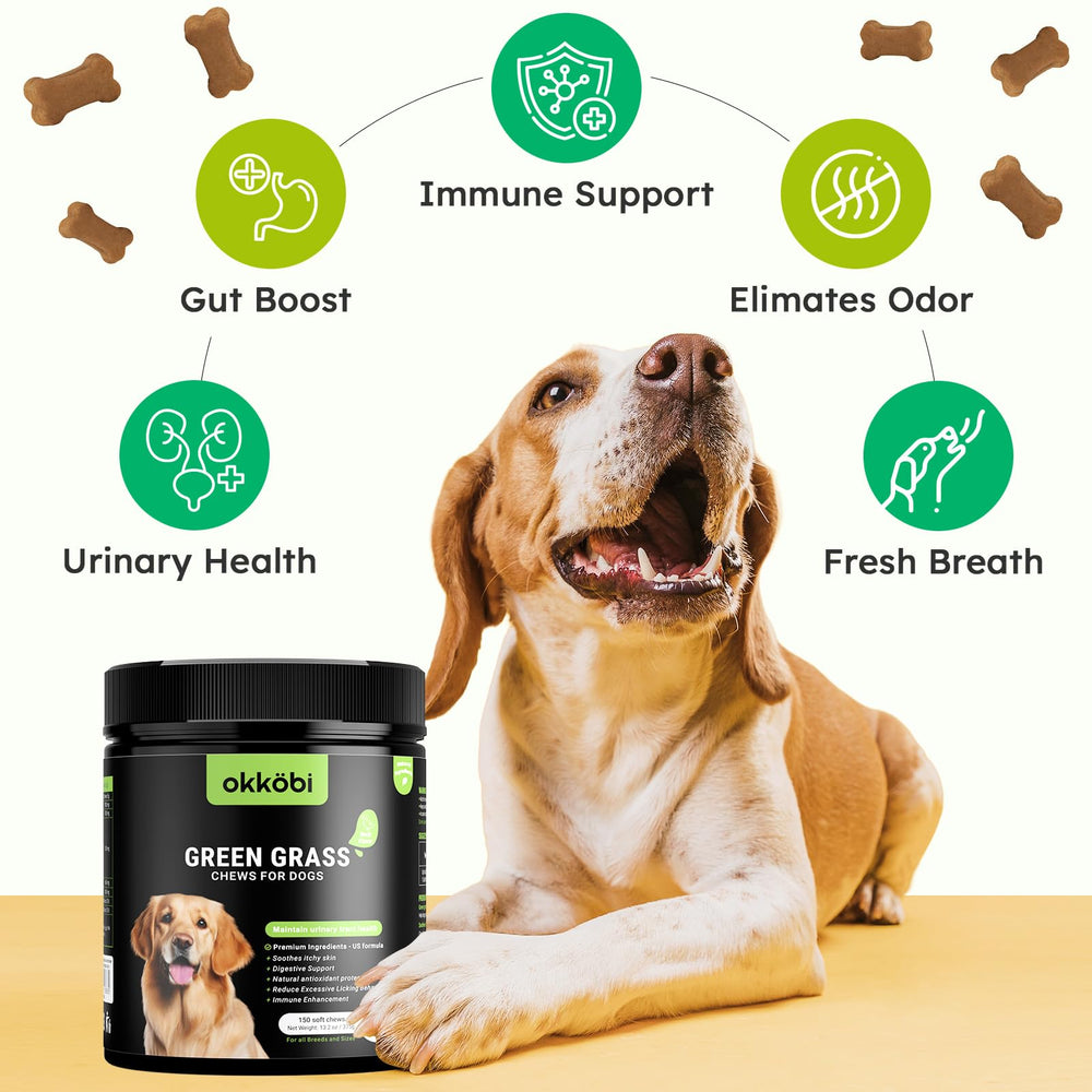 OKKÖBI sabores pollo para perro, paladar atractivo para el jardín