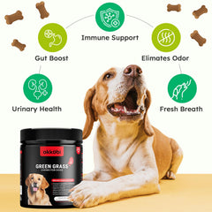 OKKÖBI sabores pollo, premio masticable para perros, excelente aceptación.