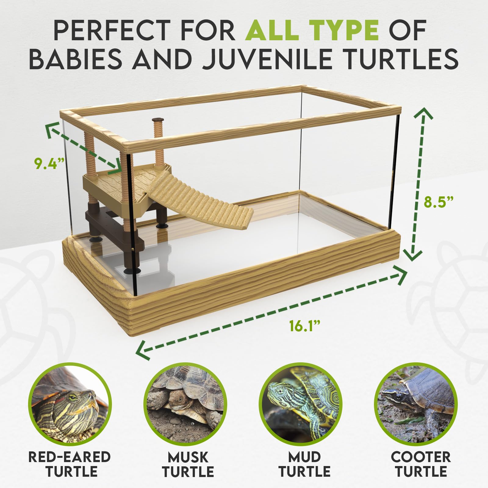 OKKÖBI tortuga: diseño seguro con vidrio de 4 mm