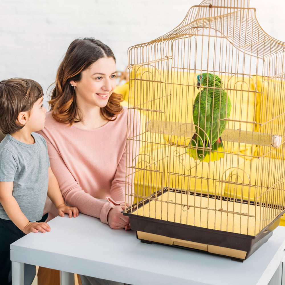Okllen conjunto de 50 piezas, apto para jaulas de aves.