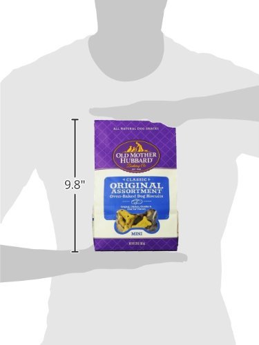 Perro disfruta de Old Mother Hubbard, snack crujiente en plato.