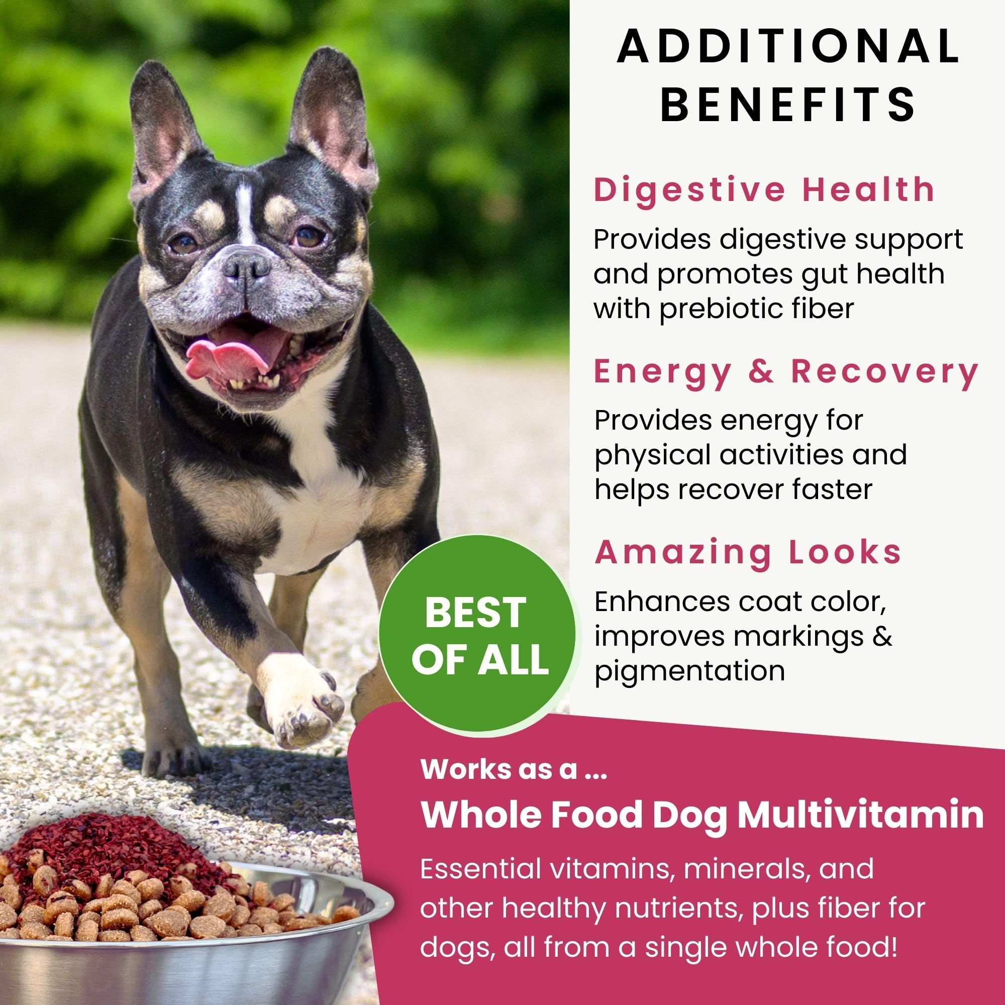 Olewo Remolachas Rojas: vitaminas y minerales para la vitalidad canina.