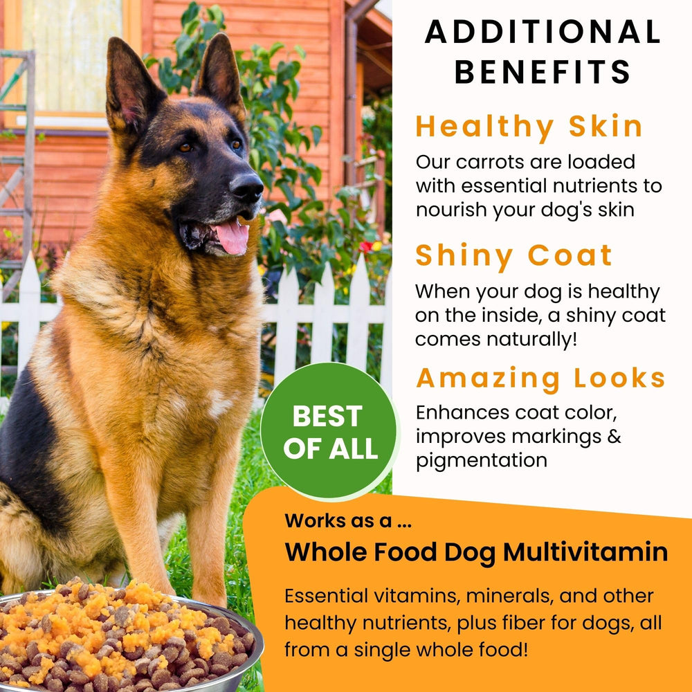 Olewo Zanahorias Originales para Perros: rehidratar y mezclar en comidas húmedas