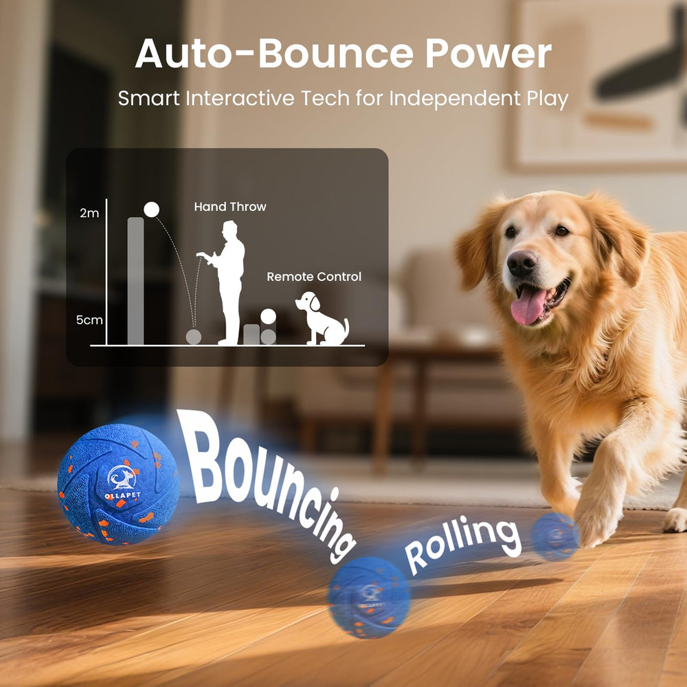 Ollapet bola con control remoto para ajustar modos de juego y mantener la atención.