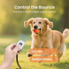 Ollapet bola modos interactivos 3, ofrece variedad de juego para perros activos.