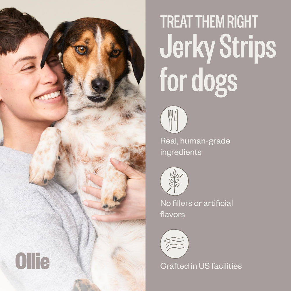 Ollie Jerky para perros, pack carne con batata, snack real y nutritivo