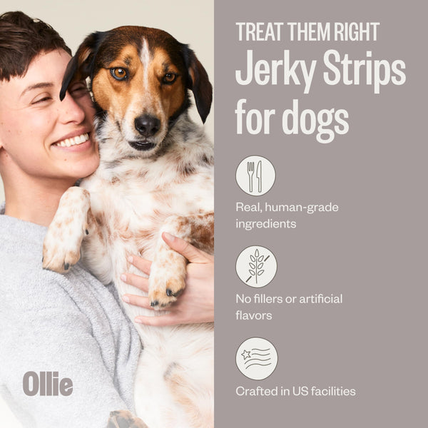 Ollie Jerky para perros, pack carne con batata, snack real y nutritivo