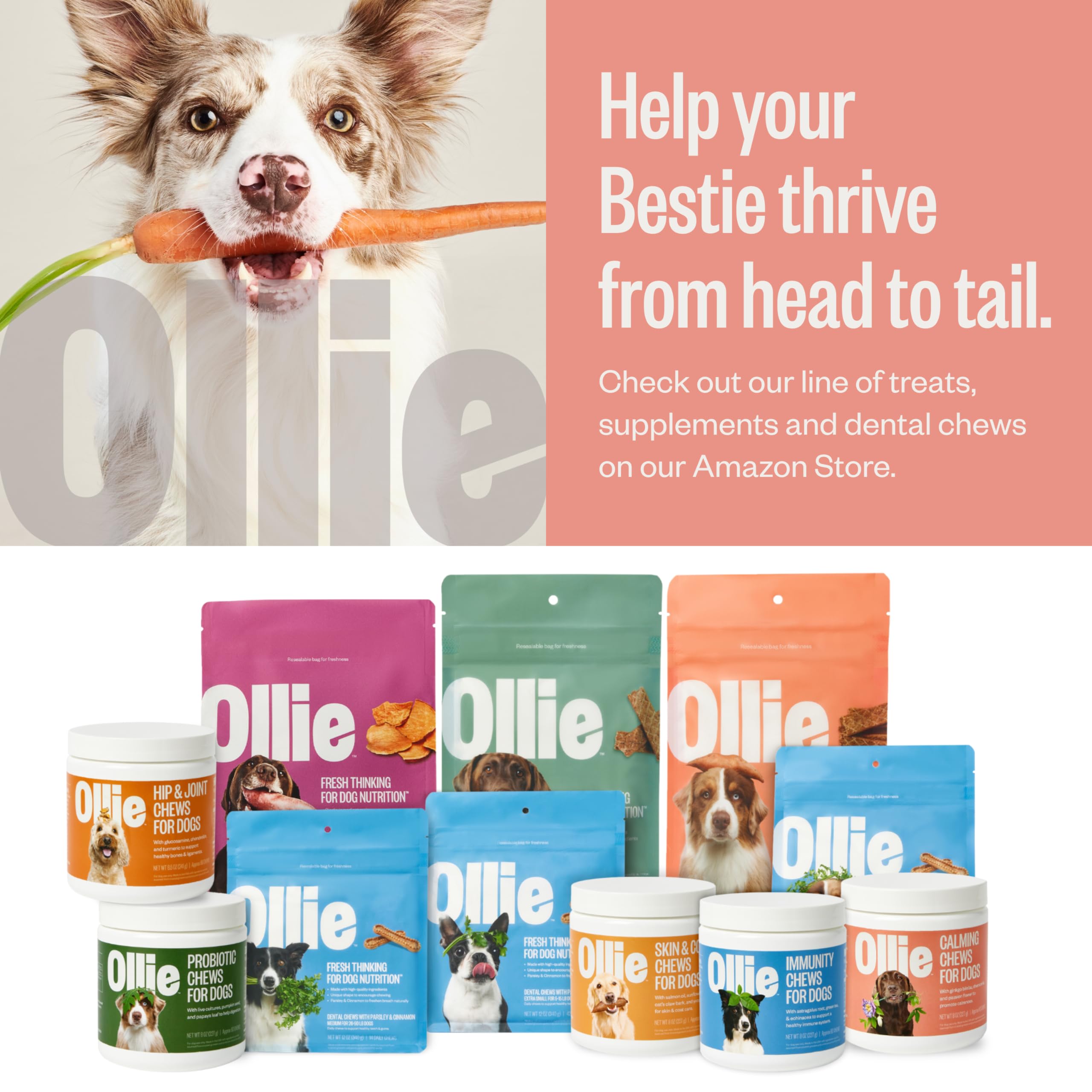 Premio diario ideal para perros con Ollie Jerky.