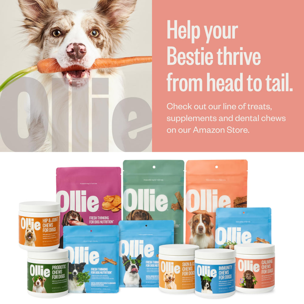 Premio diario ideal para perros con Ollie Jerky.