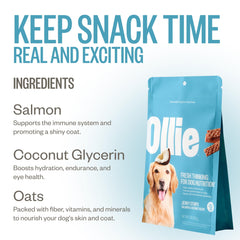 Salmón salvaje certificado y pesca sostenible para perros Ollie.