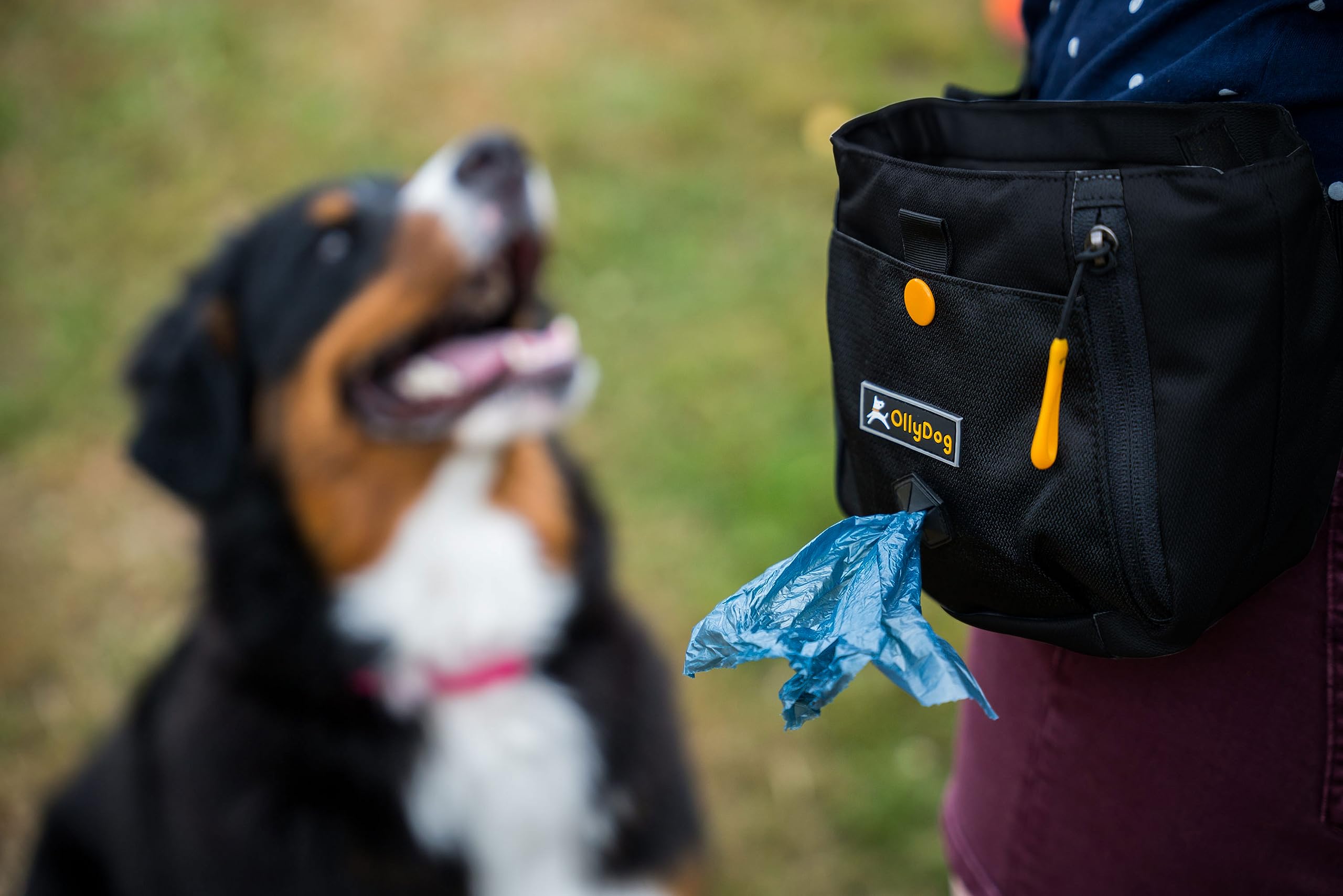 OllyDog Backcountry Day Bag, tres formas de llevarlo para más versatilidad.