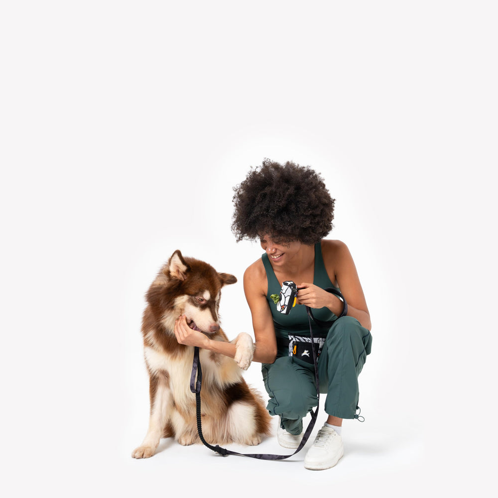 OllyDog Goodie diseño sólido o estampado, estilo para ti y tu perro