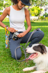 OllyDog Goodie Treat Bag, duradera, tela reciclada para uso diario.